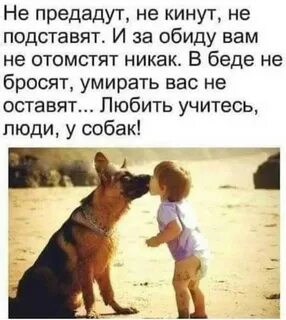 Цитаты верный друг