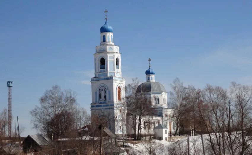 Ардатов нижегородской области сайт. Храм саконы Ардатовского района. Саконы Ардатовский район Нижегородская область. Саксонская Церковь Ардатовский район. Село саконы Ардатовского района Нижегородской области.