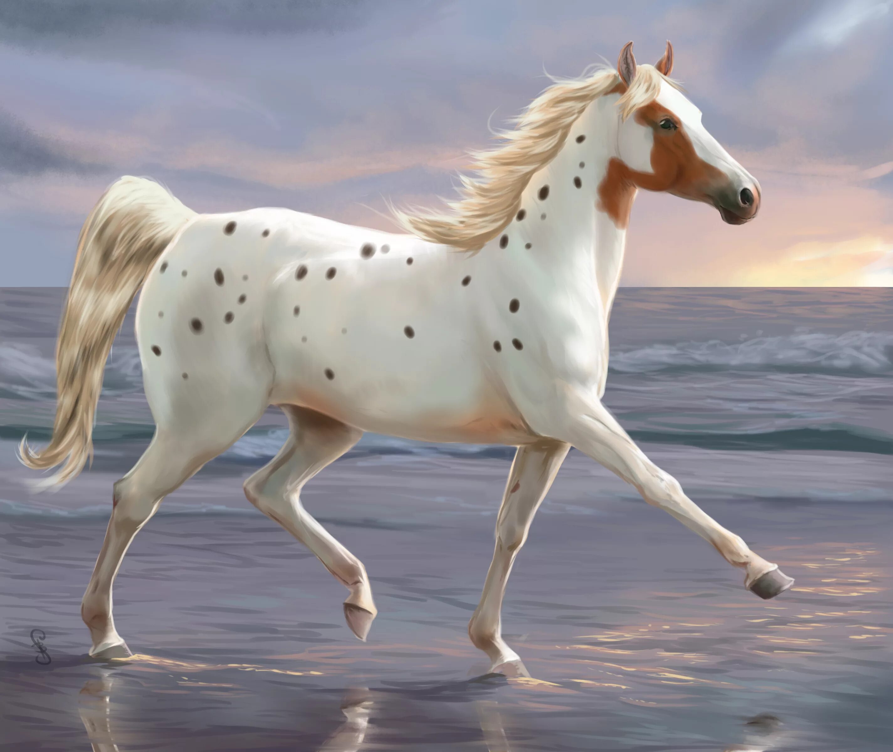 Лошади. Белый конь. Белая лошадка. Белая лошадь животное.