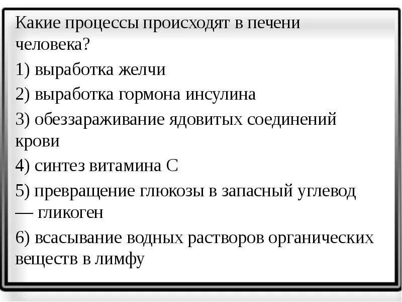 Процессы происходящие в печени