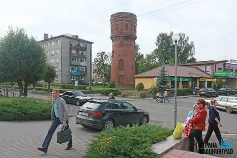 Погода на завтра мамоново калининградской