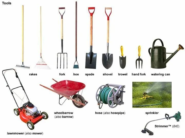 Shovel перевод. Vocabulary Garden Tools английский. Садово-огородный инвентарь. Садовые инструменты названия. Садовый инвентарь названия.