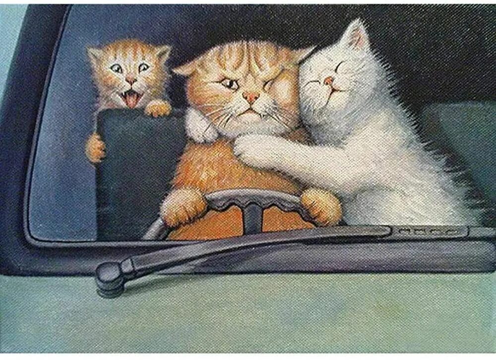 Главное изображение. Кот за рулем. Семья котов. Картина кошки в автомобиле. Кот и кошка за рулём.