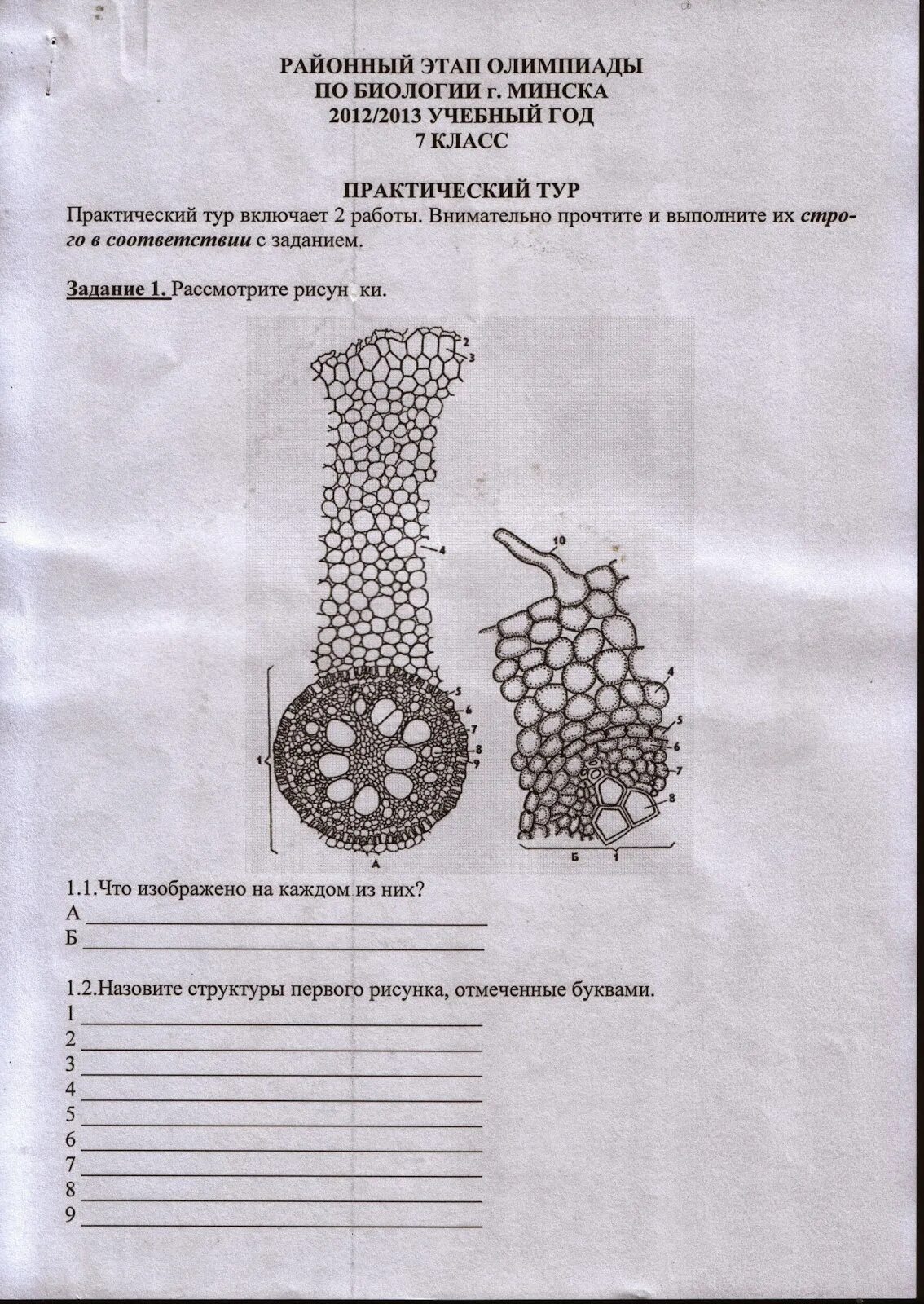 Алоэ аллерген или нет. Гидробиология. Практический тур биология. Алоэ многофункциональное средство. Практическая биология.