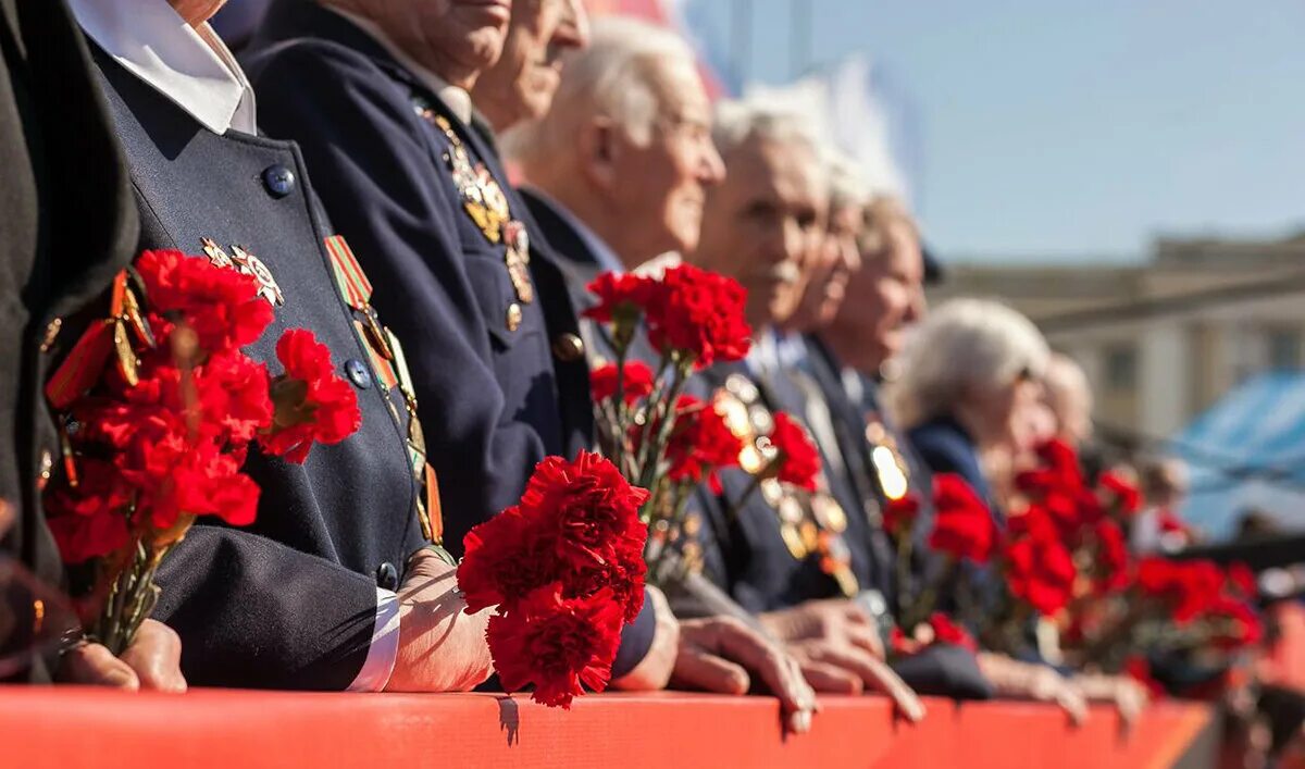 Когда поздравляют ветеранов. Ветеран с гвоздиками. Красные гвоздики и ветераны. День Победы ветераны. Красные гвоздики.