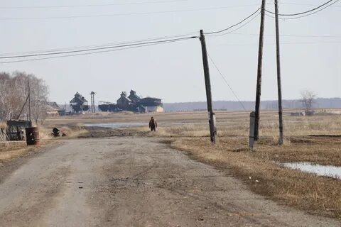Погода успенка пугачевский