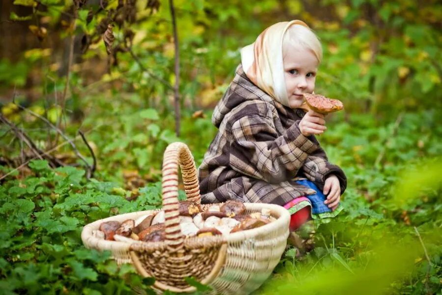 С какого возраста можно давать ребенку грибы. Грибник с лукошком. Дети собирают грибы. Дети собирают ягоды. Девочка корзинка лес.