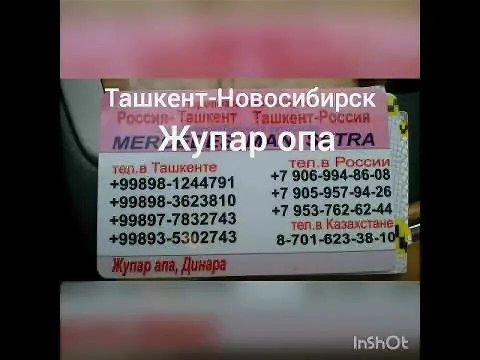 Новосибирск ташкент поезд билет. Новосибирск Узбекистан автобус. Новосибирский Ташкент автобус. Новосибирск Ташкент. Автобус Новосибирск пажкнт.