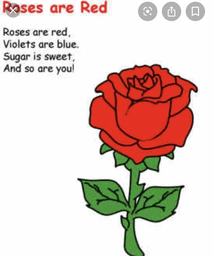 Is not a rose is a tulip