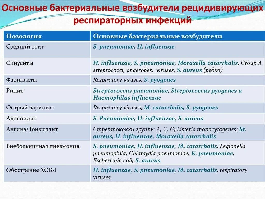 Примеры заболеваний вызываемых бактериями. Основные возбудители бактериальных инфекций. Основные бактериальные заболевания. Болезни вызываемые бактериями список. Возбудители и заболевания таблица.