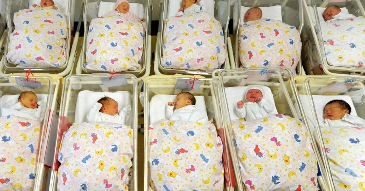 много грудничков. много новорожденных. много младенцев. рождаемость. много новорожденных.
