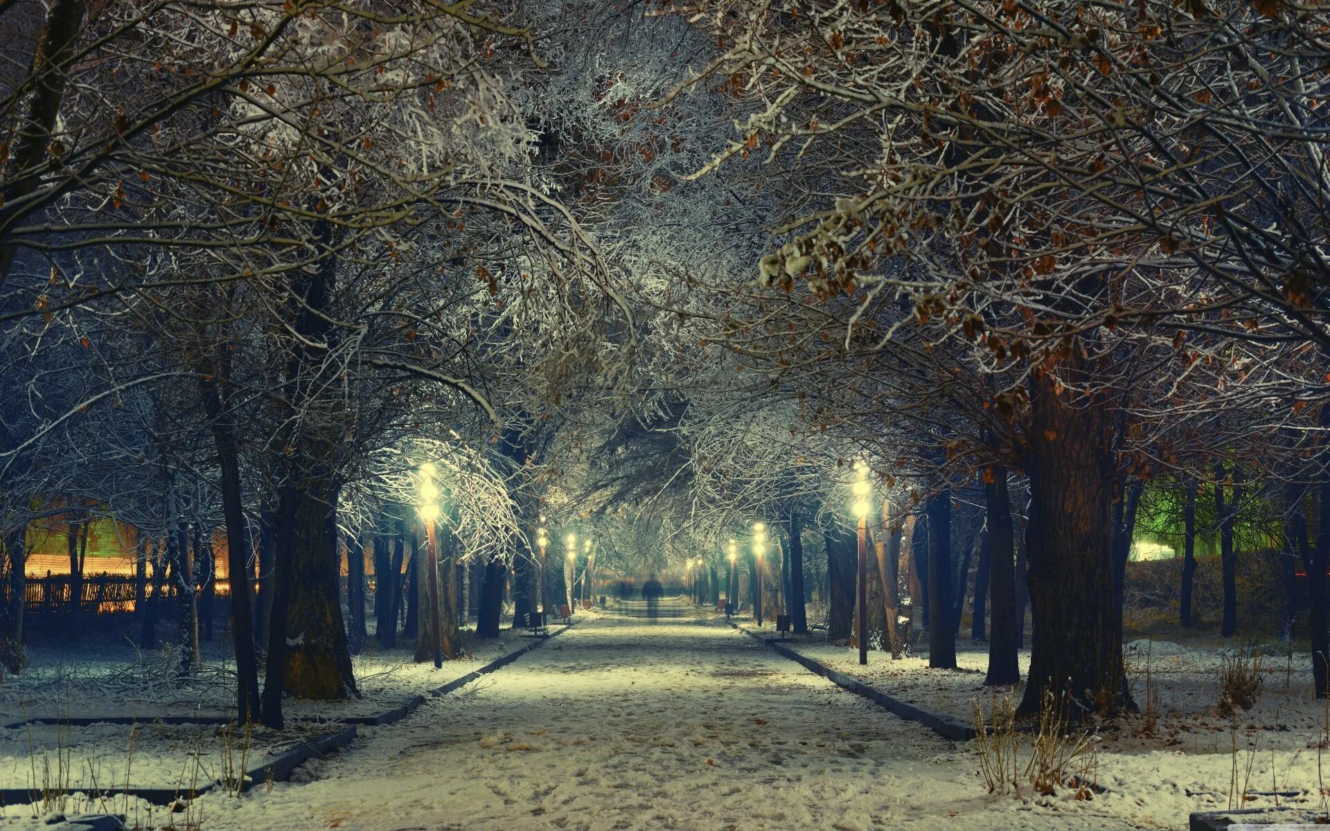 Фоны зимний вечер. Зимний город. зимняя аллея. зимний парк. зимняя аллея в парке.