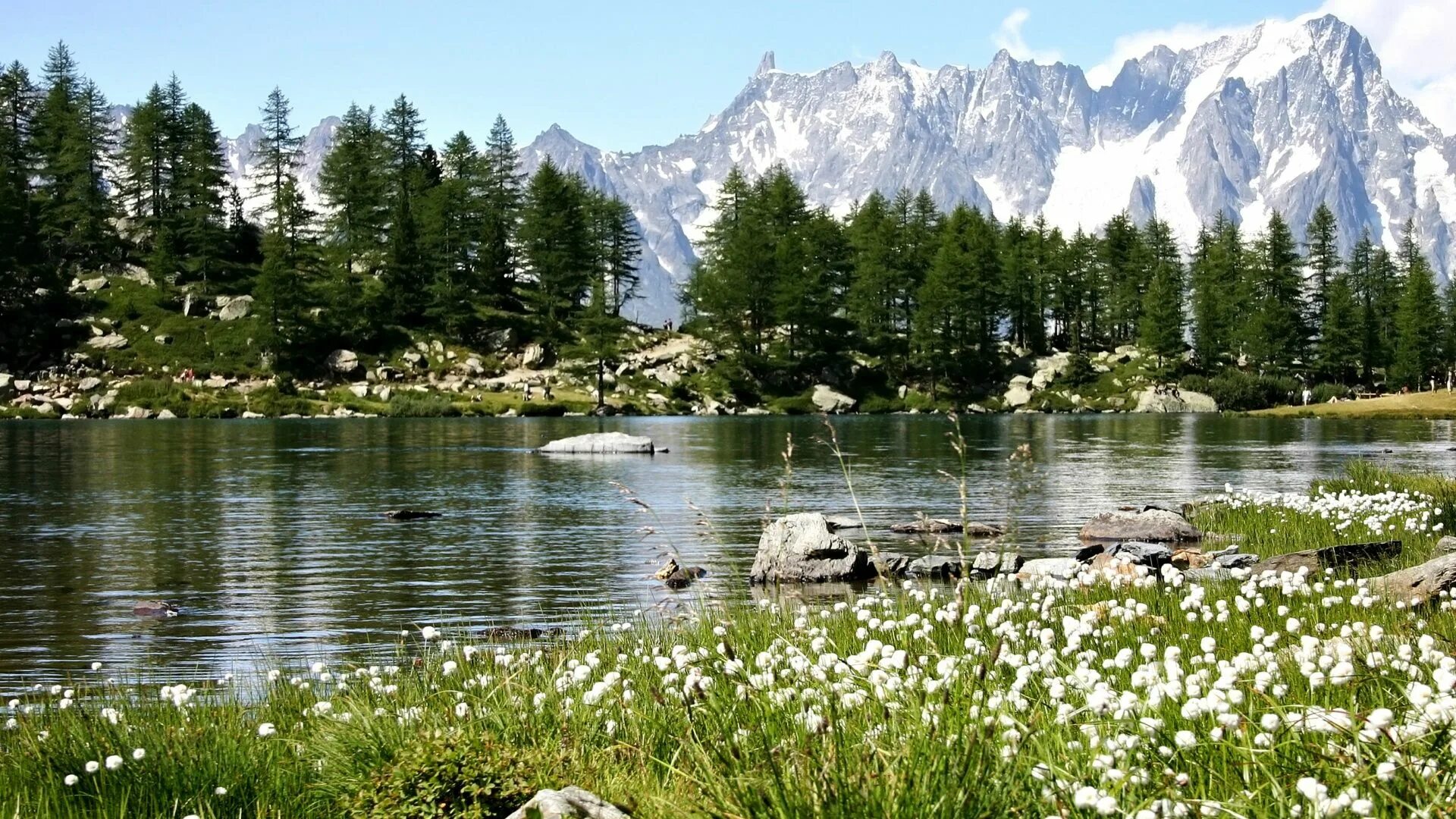 Альпийские Луга Каракольские озера. Южный Шварцвальд озеро. Италия Валле д'Аоста природа. Озеро Златибор.