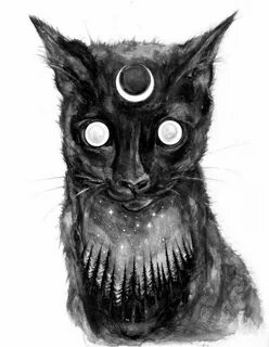 Scary catnap