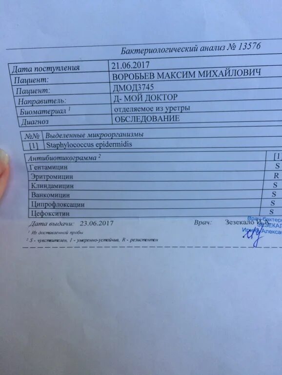 Staphylococcus aureus 10 3