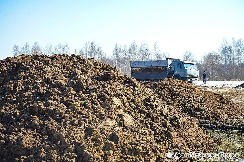 Помета спец в словарях. Куча куриного помета. отходы птицефабрик на полях. куриный помет птицефабрика. место для хранения навоза.
