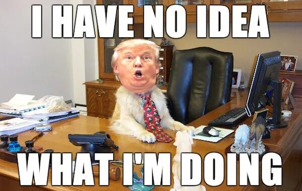 Idea of what was going. I have no idea. I have no idea what i'm doing. I have no idea meme. I don t know what i m doing.