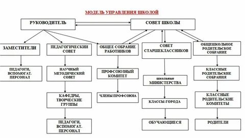 Организационная структура управления образованием