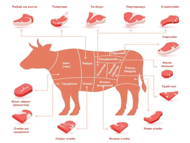 Лучшая часть мяса говядины. Стейк Рибай часть туши. Части туши говядины Рибай. Стейки Рибай части туши говядины. Стейк Рибай часть говядины.