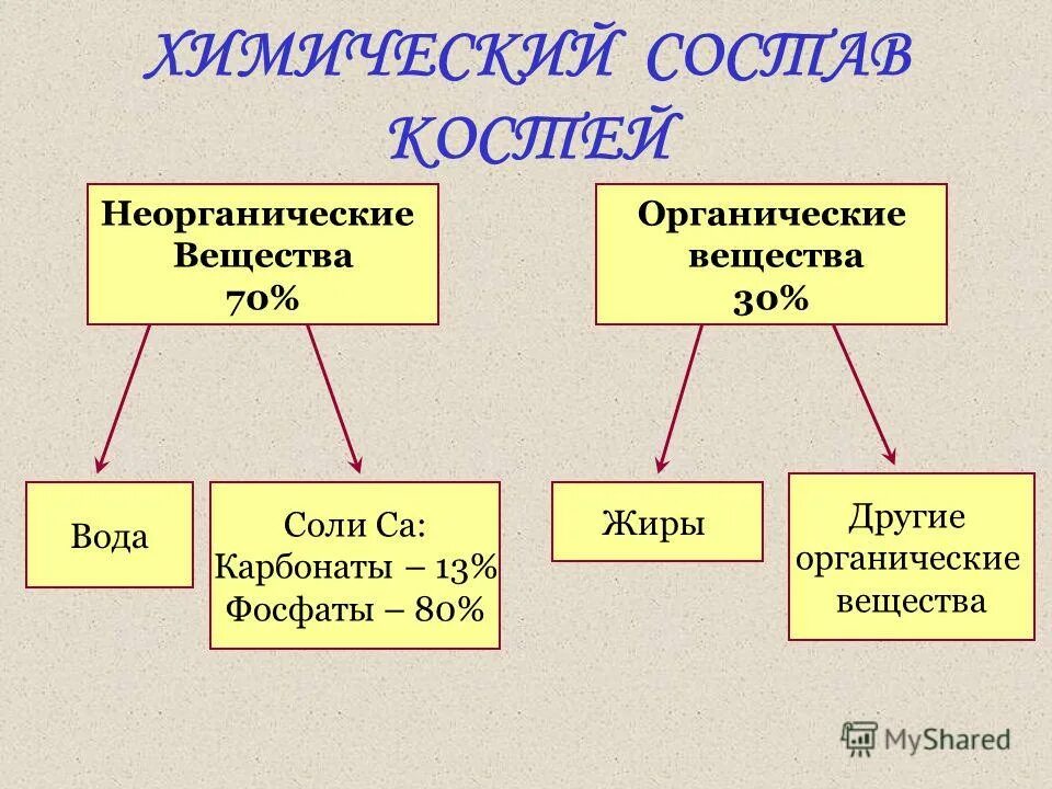 Какое свойство придают костям минеральные вещества. Химический состав кости. Состав кости человека. Химический состав костей человека. Органические и неорганические вещества в человеке.