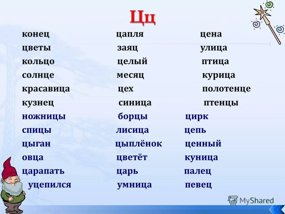 Одно предложение со словом "цирк. Прописи 1 класс страница 5. Прописи 3. Предложение со словом цирк. Чудо-пропись илюхина 1 класс 4 часть.