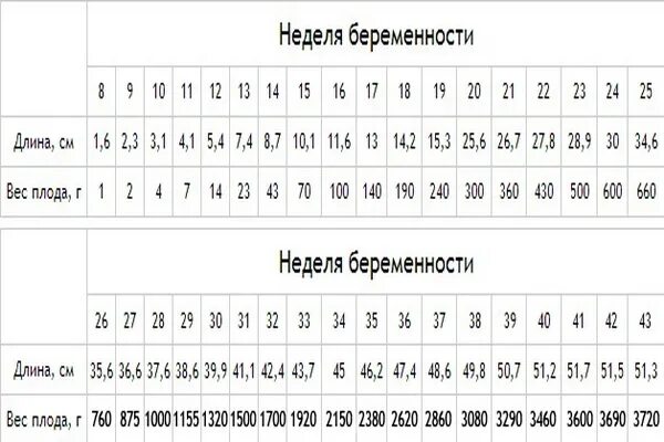 Вес на 23 неделе. Вес малыша по неделям беременности норма таблица. КТР эмбриона таблица. Вес плода на 36 неделе беременности норма. Копчико теменной размер 15 недель.