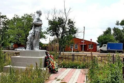 Мокрая ельмута пролетарский