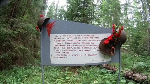 Мшинская луга