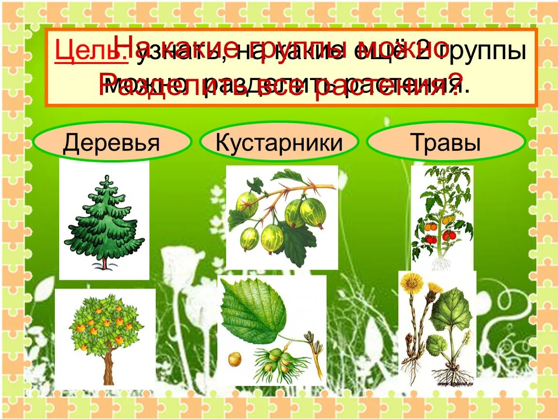 Название группа растений где выращивают. Дикорастущие и культурные растения. Культурные деревья кустарники травы. Дикорастущие деревья и культурные деревья. Дикорастущие и культурные деревья кустарники травы.