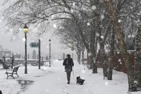 In winter the days are