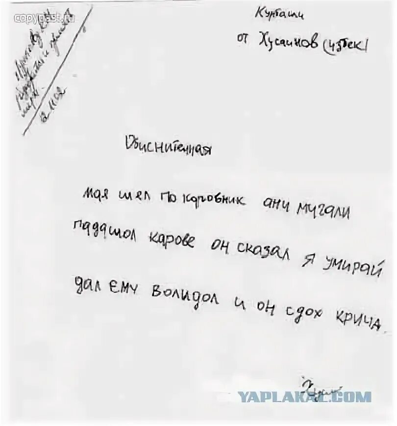 Объяснительная почему рано ушел с работы. Смешные объяснительные записки. объяснительная записка прикол. прикольные объяснительные записки начальнику.