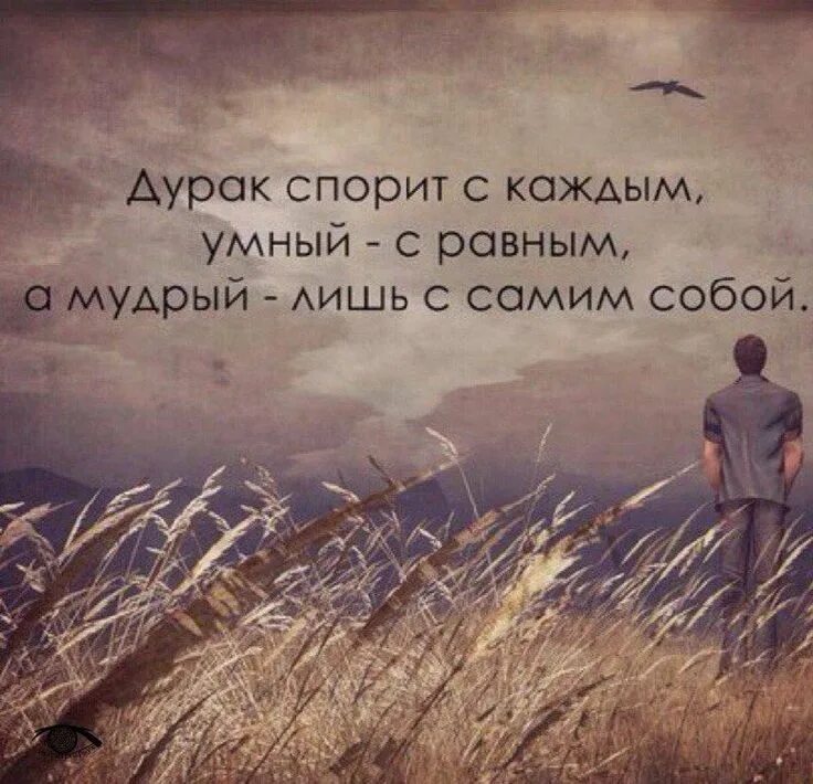 Цитата дня. Пусть каждый день и каждый час вам новое добудет. Умнее других. Каждый день не будешь умен. Мотивационные фразы.