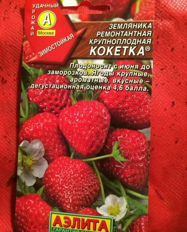 Земляника и клубника Аэлита Земляникакрасный купить по выгодным ценам в интерн