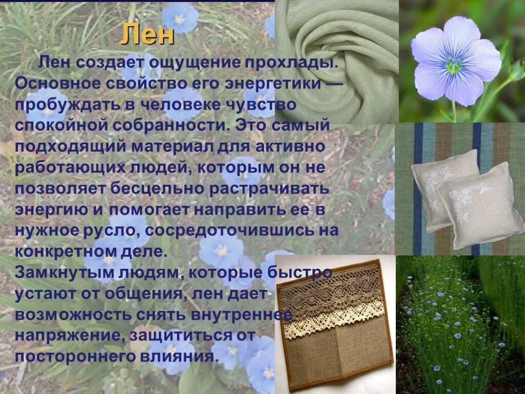 Жизнь лен. Лен презентация. сообщение о ткани лён. сообщение о льняной ткани. информация о льне.