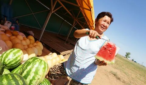 Выбрать арбузы дыни
