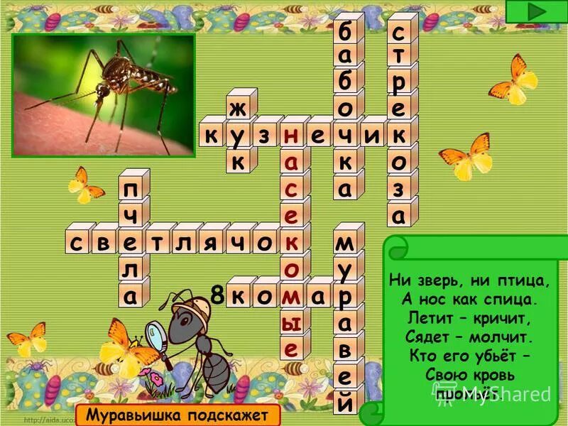 кроссворд на тему насекомые.