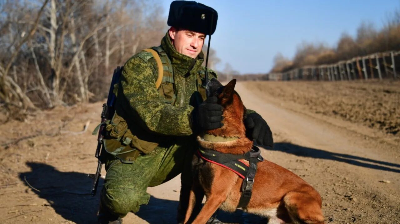 Пограничник пробуждение. Военный пограничник. Пограничная служба. Пограничники на службе. Пограничники России.