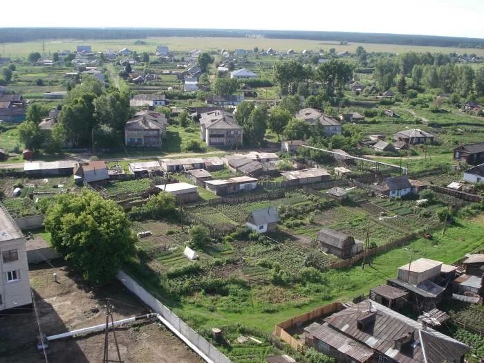 Станция Повалиха Алтайский край. Алтайский край Первомайский район село Повалиха. Село Боровиха Алтайский край. Боровиха Первомайский район Алтайский край. Погода повалиха алтайский край