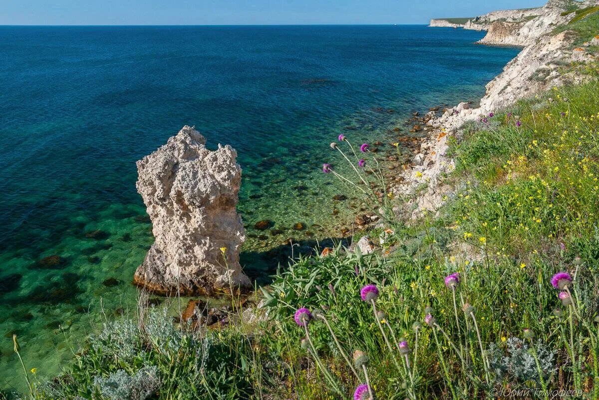 Джангуль Тарханкут. Мыс Джангуль. Западный Крым Джангуль. Джангуль Евпатория. Природный мир крыма