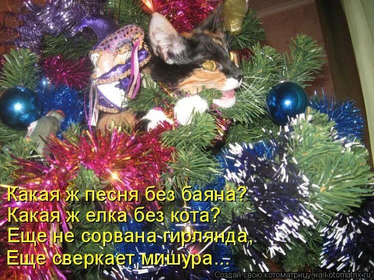 Цитаты про новогоднюю елку