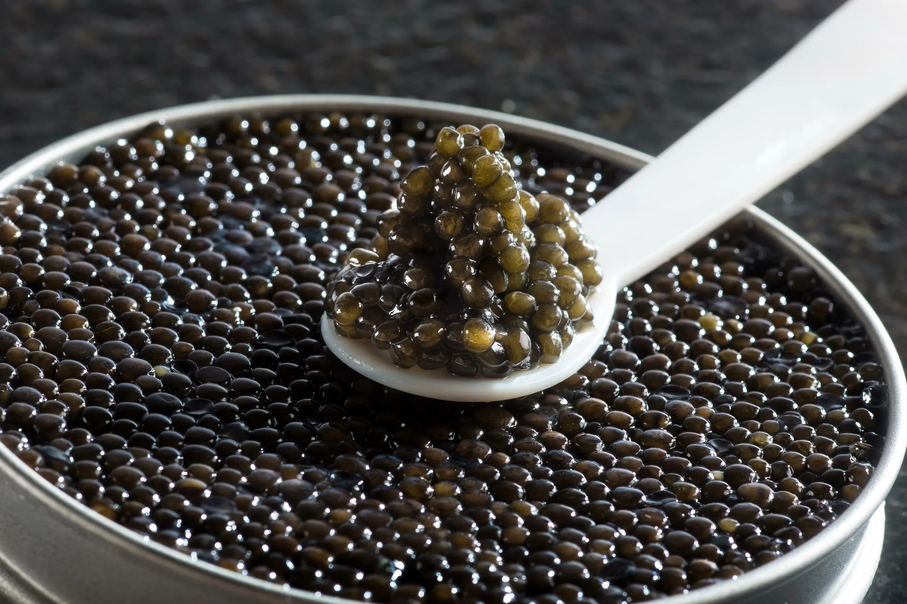 Черная икра Кавиар. Черная икра Caviar. Севрюжья икра белужья икра. Черная икра стерляди.