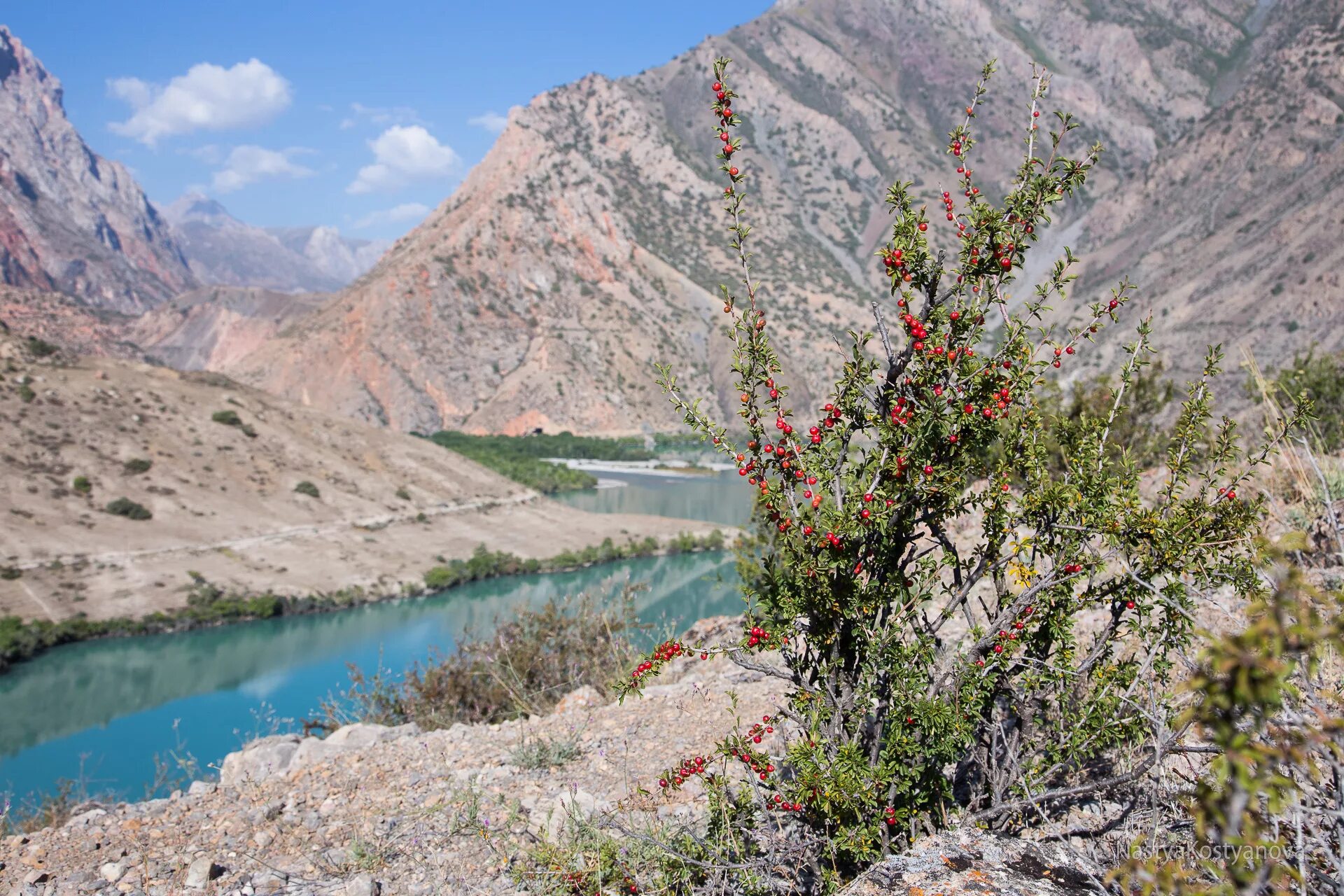 Таджикистан это азия. Озеро Искандеркуль Таджикистан. ГБАО. ГБАО природа. Каракуль Таджикистан.