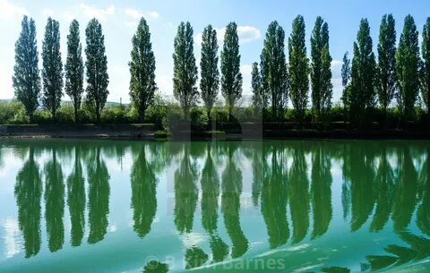 Transeksüel өзіне видео сорды