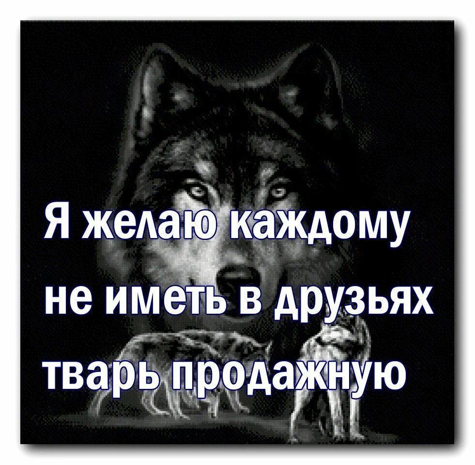 Цитаты тварь. Цитаты про тварей. цитаты про людей тварей. статус про тварей. цитаты про тварей друзей.