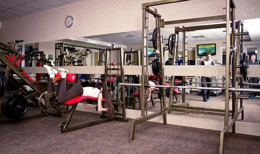 тренажерный зал 100 пудов дубна. тренажерные залы аксай. тренажерные залы аксай. бассейн престиж аксай. дворец спорта аксай бассейн.