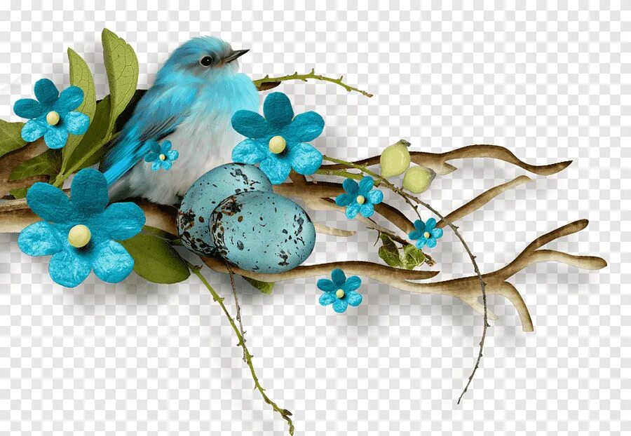 Весенние птички картинки для оформления. Птичка на ветке. Весенние птицы на прозрачном фоне. Голубая птичка. Весенние птички на прозрачном фоне.