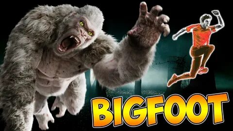 Bigfoot freetp