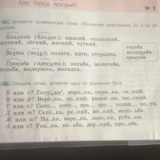 Чутко проверочное слово. Чуткий проверить. Просить проверочное слово. Чуткикий проверочные слова. Проверочное слово к слову чуткий.