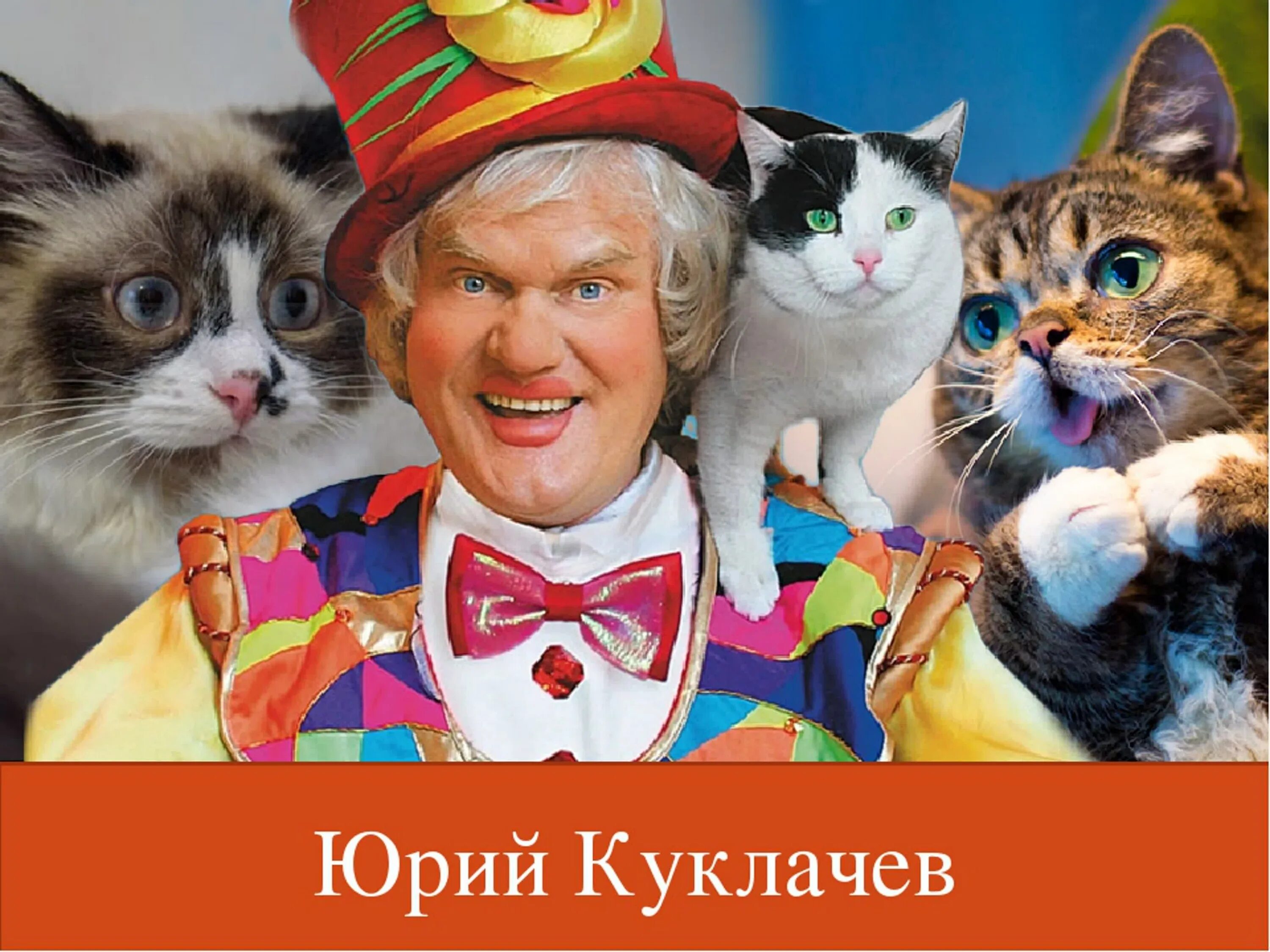 Куклачев дрессировщик кошек. Кошки Юрия Куклачева. Театр кошек Юрия Куклачева.