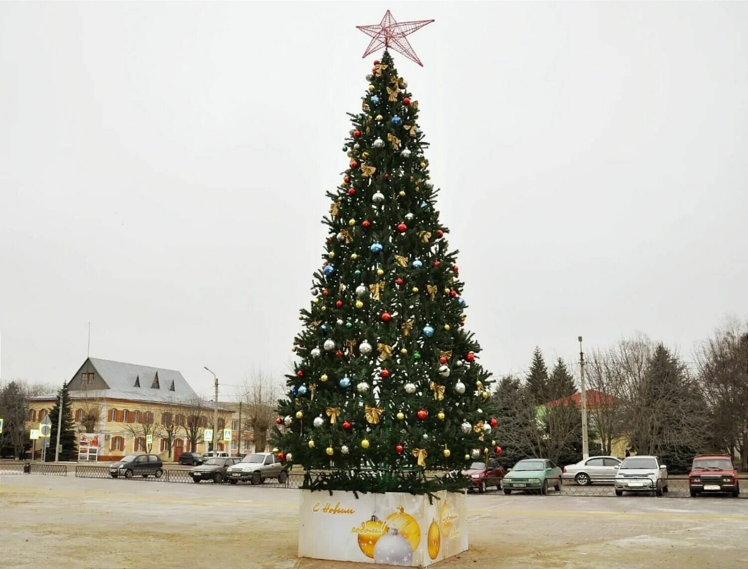 Красивая елка фото. Самая красивая елка в России. Елка в Белгороде. Елка в Алексеевском. Рп 5 ровеньки